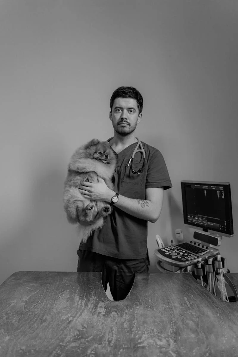 Clínica Veterinária Animedic - equipe