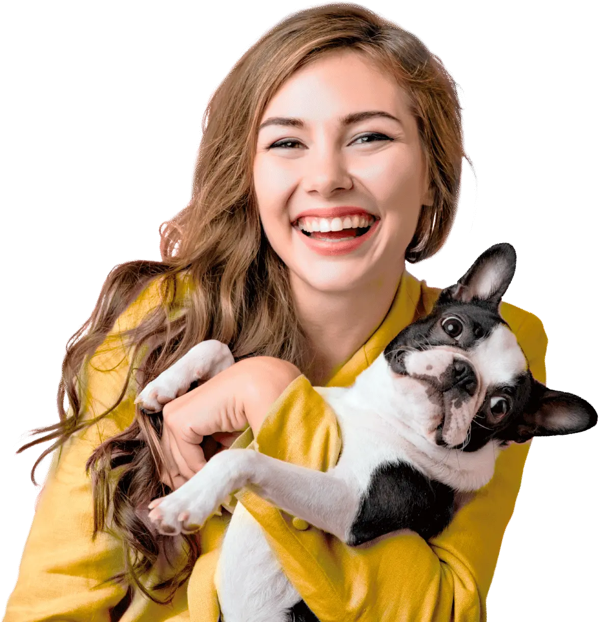 Clínica Veterinária Animedic