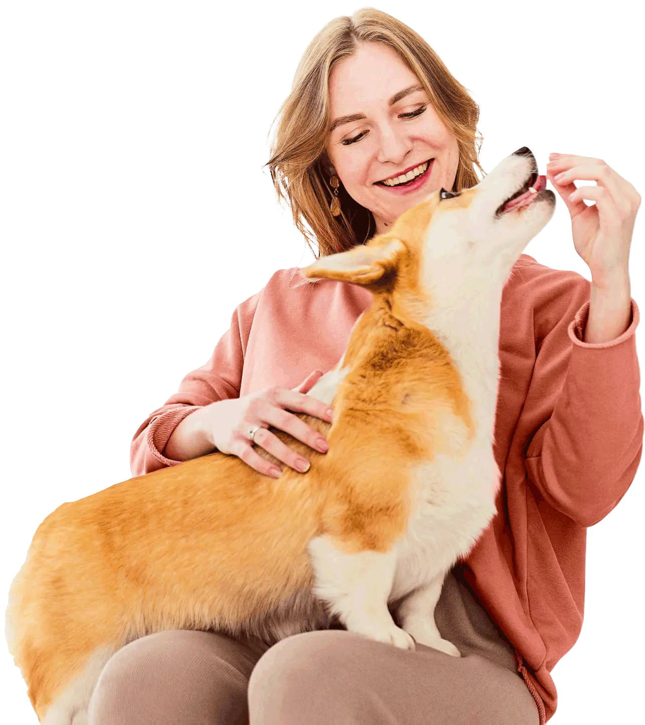 Clínica Veterinária Animedic